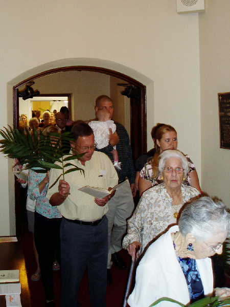 palm8.jpg